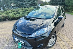 Ford Fiesta Crossover 2010