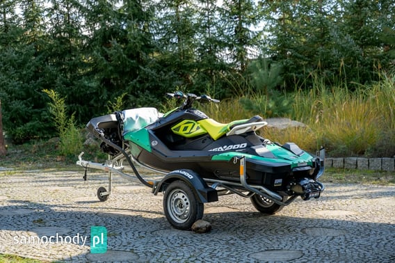 SEAT Terra 2021