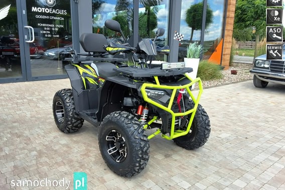 TRIUMPH Inny Quad 2026