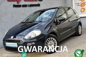 Fiat Punto Hatchback 2013