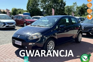 Fiat Punto Hatchback 2012