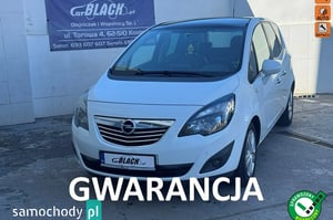 Opel Meriva Hatchback 2010