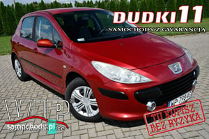 Peugeot 307 Hatchback 2006