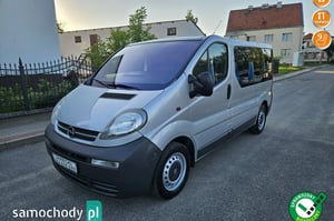 Opel Vivaro Minivan 2003