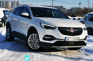 Opel Grandland X SUV 2019