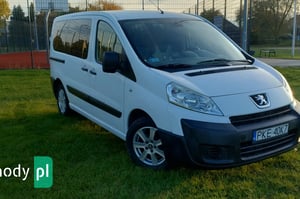 Peugeot Expert Mikrobus 2010
