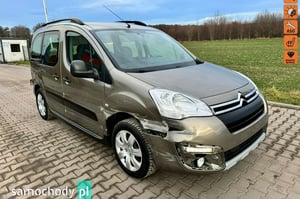 Citroen Berlingo Minivan 2017