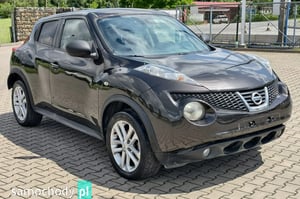 Nissan Juke Hatchback 2011