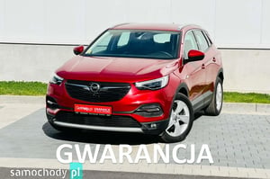 Opel Grandland X SUV 2019