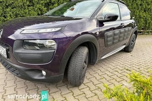 Citroen C4 Cactus Minivan 2014
