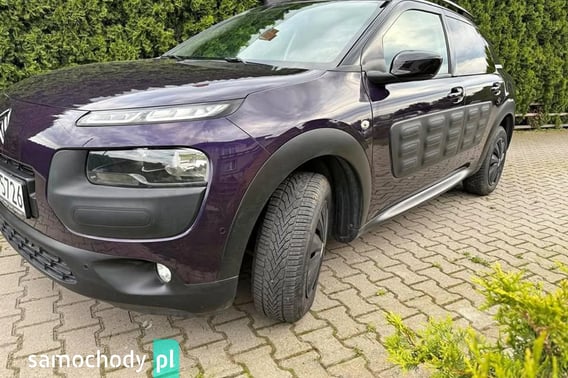 Citroen C4 Cactus Minivan 2014