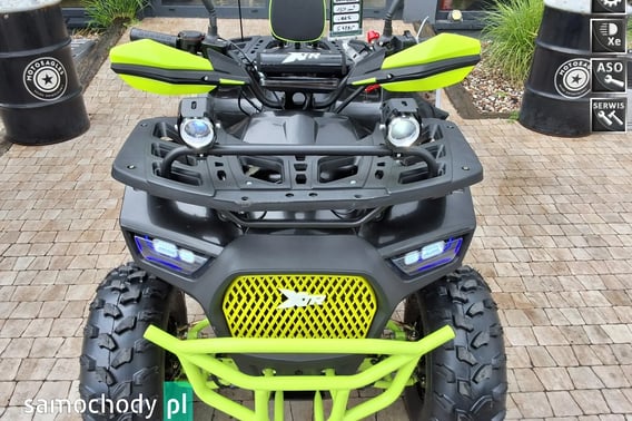 TRIUMPH Inny Quad 2025
