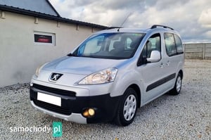 Peugeot Partner Minivan 2010