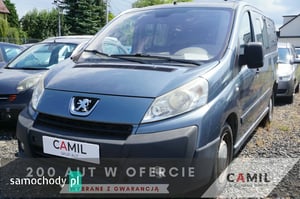 Peugeot Expert Minivan 2009