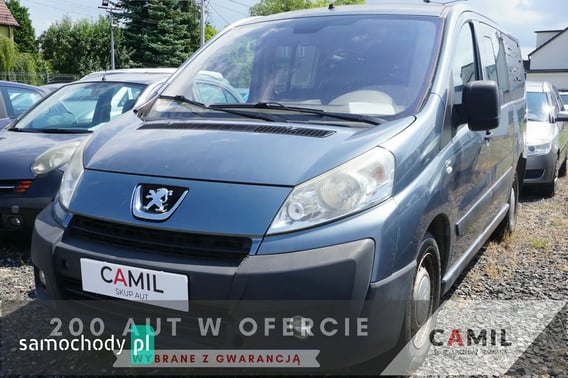 Peugeot Expert Minivan 2009