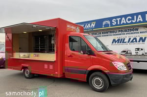 Mercedes-Benz Sprinter Inne 2009