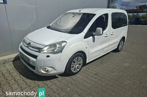 Citroen Berlingo Minivan 2012