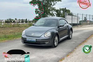 Volkswagen Beetle Crossover 2012