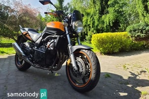 Honda CBF Naked 2004