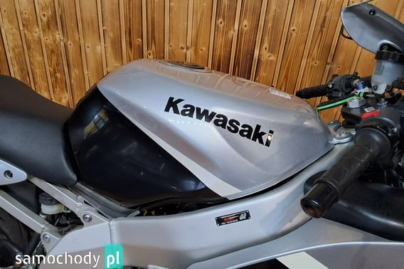 KAWASAKI Ninja Naked 2002