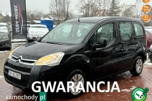 Citroen Berlingo Minivan 2011