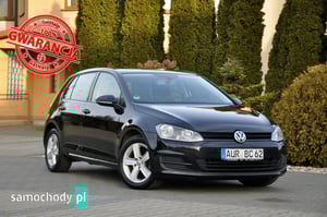 Volkswagen Golf Hatchback 2013