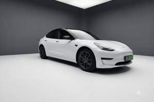 Tesla Model 3 Sedan 2020