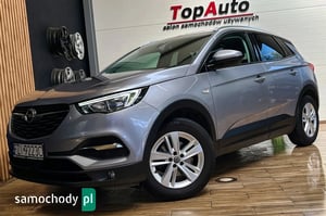 Opel Grandland X SUV 2019