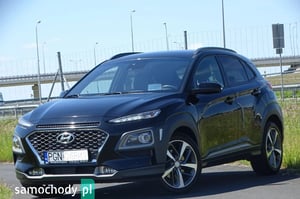 Hyundai Kona Inny 2019