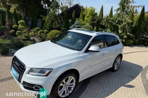 Audi SQ5 SUV 2016