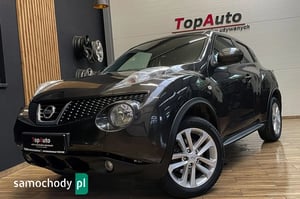 Nissan Juke SUV 2013