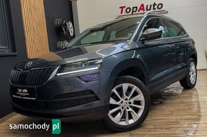 Skoda Karoq SUV 2019