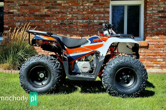 KASINSKI Inny Quad 2024