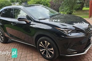 Lexus NX SUV 2020