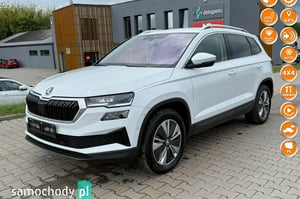 Skoda Karoq SUV 2024