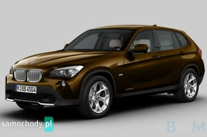 BMW X1 SUV 2010