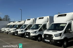 IVECO Daily Chłodnia/Izoterma 2025
