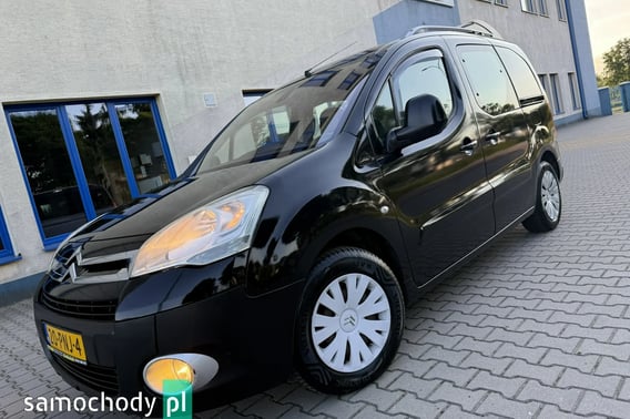 Citroen Berlingo Minivan 2009