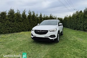 Opel Grandland X SUV 2021