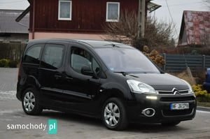 Citroen Berlingo Minivan 2013