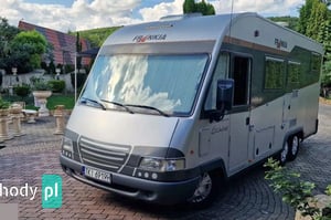 Frankia I 700 2001