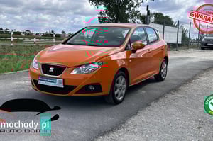 Seat Ibiza Crossover 2010