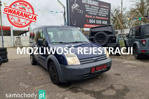 Ford Tourneo Connect Minivan 2009