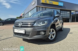 Volkswagen Tiguan SUV 2013