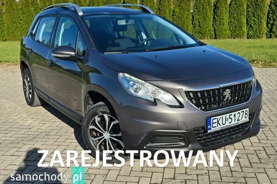Peugeot 2008 Minivan 2016