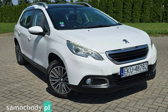 Peugeot 2008 Minivan 2014