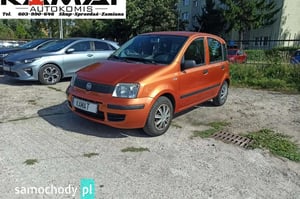 Fiat Panda Crossover 2009
