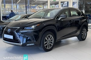 Lexus NX SUV 2021