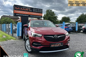 Opel Grandland X SUV 2019