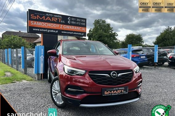 Opel Grandland X SUV 2019